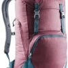 Deuter Walker 24 Rugzak Rood