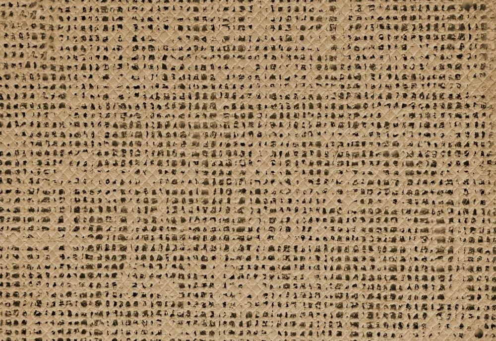 Bo-Camp Aerotex Tenttapijt 2,5 X 6 Meter Beige 2 Bo-Camp Aerotex Tenttapijt 2,5 X 6 Meter Beige - Afbeelding 2